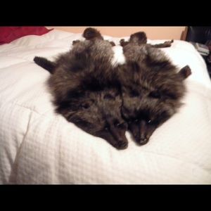 Vintage Twin Fox Collar